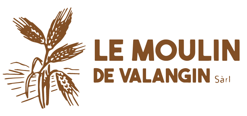 logo-moulin-valagin-marron